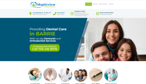 A website design for a dental clinic in Barbie, emphasizing modernity and professionalism.